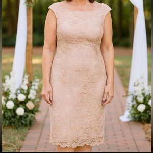 Lauren Ralph Lauren Sz 6 Dress Soft Pastel Pink Lace Floral Romantic Wedding